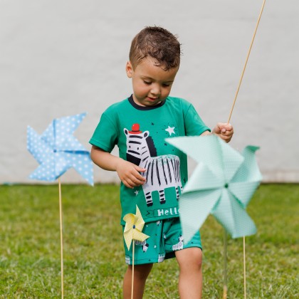 Pijama Infantil Estampa Zebra